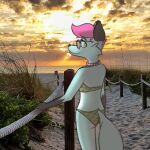  anthro beach bikini cloe_(powerfulcrumpets) clothing collar eyewear female powerfulcrumpets seaside solo sunglasses swimwear 