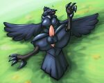  avian balls corviknight feathered_wings feathers feral generation_8_pokemon genitals grass hi_res lying male nintendo nova_nsfw on_back on_ground penis plant pokemon pokemon_(species) raised_leg solo spread_legs spreading tail_feathers talons video_games wings 