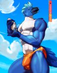  anthro athletic athletic_male avian beach beak bird blue_body blue_eyes blue_feathers blue_fur bulge clothed clothing detailed_bulge feathers franubis fur hi_res looking_at_viewer male muscular muscular_male open_mouth seaside sky solo speedo sun_cream swimwear white_body 