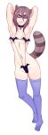  absurdres animal_ears breasts fang full_body highres looking_at_viewer md5_mismatch medium_breasts monster_girl navel niftyrobo original purple_eyes raccoon_ears raccoon_tail self_upload slingshot_swimsuit swimsuit tail thighhighs thighs white_background 