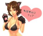  animal_ears bikini bikini_top breasts brown_eyes brown_hair cat_ears cat_paws cleavage female hashiko_(pixiv530281) lowres paws sengoku_musou sengoku_musou_2 sengoku_musou_3 short_hair solo swimsuit tachibana_ginchiyo white_background 