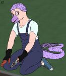  anthro clothing dinosaur dromaeosaurid eyewear feathered_tail feathers gardening glasses gloves goodbye_volcano_high hair handwear long_snout looking_at_viewer male purple_eyes purple_hair reptile sage_(gvh) scalie short_hair snoot_game_(fan_game) snout solo theropod unknown_artist velociraptor video_games 