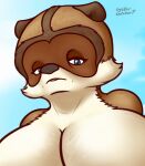  anthro anthrofied baggy_eyes big_breasts blue_eyes breasts brown_body brown_fur close-up crossgender female fur looking_at_viewer looking_down_at_viewer mammal mature_female over_the_hedge oystercatcher7 procyonid raccoon rj_(over_the_hedge) solo tan_body tan_fur 