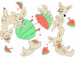  2018 blue_clothing brown_body brown_fur brown_tail canid canine clothing eating eating_food eyes_closed fangs fennec feral food fox fruit fur hi_res holding_food holding_object mammal melon open_mouth pawpads paws plant puppkittyfan1 solo watermelon white_clothing 