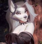  anthro bottomwear breasts camel_toe canid canid_demon canine canis clothed clothing collar demon domestic_dog ear_piercing ear_ring eyebrow_piercing facial_piercing female fluffy fluffy_tail fur grey_hair hair hellhound helluva_boss husky looking_at_viewer loona_(helluva_boss) mammal mikkavesual nordic_sled_dog piercing red_sclera ring_piercing shorts solo spiked_collar spikes spitz spread_legs spreading topwear under_boob white_body white_fur 