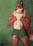  anthro canid canine dobie-ace fox male male/male mammal solo 