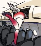  1girl acesrulez airplane_interior bird_girl bird_tail black_footwear commentary_request from_behind gradient gradient_legwear gradient_skirt high_heels kemono_friends pantyhose passenger_pigeon_(kemono_friends) pencil_skirt photo-referenced red_pantyhose red_skirt shirt short_sleeves skirt solo t-shirt tail two-tone_pantyhose two-tone_skirt white_pantyhose white_shirt white_skirt 