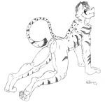  2018 all_fours anthro asian_mythology butt chinese_mythology east_asian_mythology felid feline fur hair hi_res jimfoxx looking_at_viewer looking_back male mammal mythology nekojishi nude paws pose presenting presenting_hindquarters raised_tail shu-chi signature smile smiling_at_viewer solo striped_body striped_fur stripes studio_klondike tongue tongue_out video_games visual_novel yaoguai 