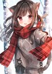  1girl :d animal_ear_fluff animal_ears bangs blush brown_hair cat_ears cat_tail floating_hair heripiro highres holding holding_clothes holding_scarf long_hair long_sleeves looking_at_viewer original outstretched_arm plaid plaid_scarf red_eyes scarf smile solo standing sweater tail tree two_side_up 