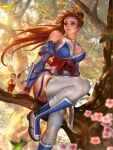  absurdres brown_eyes brown_hair highres kasumi_(doa) looking_to_the_side non-web_source tree yam_spectrum 