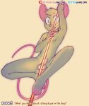  anatomically_inaccurate animal_humanoid anthro balls emellond fur genitals grey_body grey_fur hairless_tail hi_res humanoid looking_at_viewer male mammal mammal_humanoid miki_mokk mouse mouse_humanoid murid murid_humanoid murine murine_humanoid patreon penile penis pink_ears pink_nose pink_tail pole pole_between_legs pole_grab rat rodent rodent_humanoid smile smiling_at_viewer solo stripper_pole text twitter url 