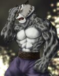  2021 abs absurd_res anthro belt biped bottomwear bulge chibikoma clothed clothing digital_drawing_(artwork) digital_media_(artwork) dreamworks felid fur grey_body grey_fur hi_res kung_fu_panda leopard_spots looking_at_viewer male mammal muscular muscular_anthro muscular_male one_eye_obstructed open_mouth orange_eyes pantherine pants partially_clothed pecs sharp_teeth snow_leopard solo spots tai_lung_(kung_fu_panda) teeth topless topless_anthro topless_male whiskers yellow_sclera 