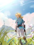  1boy bird blonde_hair blue_sky blue_tunic boots cloud cloudy_sky feet_out_of_frame fingerless_gloves flower from_behind gloves grass hair_between_eyes highres link looking_away low_ponytail male_focus medium_hair outdoors pants pointy_ears shirt sidelocks sky solo standing swan taiz22 the_legend_of_zelda the_legend_of_zelda:_breath_of_the_wild white_flower white_pants white_shirt 
