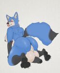  anthro anus balls big_balls big_butt big_penis black_nipples black_nose blue_body blue_fur breasts butt canid canine cheek_tuft facial_tuft fluffy fluffy_tail fur genitals glistening glistening_balls glistening_butt glistening_genitalia gynomorph hi_res huge_balls huge_butt huge_penis intersex kneeling large_paws mammal neck_tuft nipples penis perineum pink_eyes pink_tongue pose presenting presenting_hindquarters side_boob slightly_chubby solo solo_focus test001 thick_thighs tongue tongue_out tuft wide_hips 