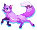  2016 blue_eyes canid canine countershade_face countershade_fur countershade_torso countershading digital_media_(artwork) female feral fox fur mammal open_mouth paws purple_body purple_fur quadruped seamen shaded simple_background solo whiskers white_background white_body white_fur white_tail_tip 