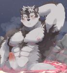  abs anthro balls bathing blush canid canine canis erection eyebrows fur genitals grey_body grey_fur hi_res horkeu_kamui_(tas) hot_spring lifewonders male mammal muscular muscular_anthro muscular_male navel night pecs penis qdng0atngbaqmce sky solo star starry_sky steam thick_eyebrows tokyo_afterschool_summoners video_games water wolf 