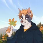  1:1 anthro autumn blonde_hair canid canine canis clothing cloud domestic_dog forest forest_background freckles fur grey_eyes hair happy hi_res hoodie kotybird leaf male mammal maple_leaf mountain nature nature_background plant shaved_head shirt sky smile solo sweater t-shirt teeth topwear tree 