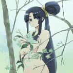  1girl bangs black_hair blue_eyes branch breasts censored completely_nude convenient_censoring fate/grand_order fate_(series) flower green_background highres long_hair looking_at_viewer medium_breasts nude rainen_ganbarimashita side_ponytail tree upper_body ushiwakamaru_(fate) 