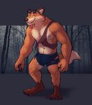  2022 anthro areola biceps biped blue_bottomwear blue_clothing blue_shorts boots_(marking) bottomwear brown_body brown_claws brown_fur brown_nose bulge canid canine cheek_tuft claws clothed clothed_anthro clothed_male clothing cute_fangs dipstick_ears eyebrows eyewear eyewear_on_head facial_tuft fox front_view fur hi_res looking_at_viewer male mammal multicolored_body multicolored_ears multicolored_fur muscular muscular_anthro muscular_male navel nipples orange_body orange_fur paintfox pecs photo_background pink_areola pink_nipples plantigrade red_clothing red_shirt red_topwear shirt shorts smile solo standing sunglasses sunglasses_on_head topwear torn_bottomwear torn_clothing torn_shirt torn_shorts torn_topwear tuft were werecanid werecanine werefox white_body white_fur 