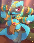  ambiguous_gender anthro bottomwear clothing generation_4_pokemon hi_res holowear_(pokemon) jewelry loincloth male nintendo pokemon pokemon_(species) pokemon_unite riolu ruins_style_lucario solo tagme video_games young 