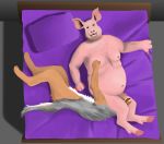  anthro bed canid canine canis domestic_pig jackal male male/male mammal oral suid suina sus_(pig) 