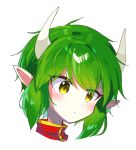  1girl closed_mouth draco_centauros green_hair highres horns madou_monogatari offbeat pointy_ears portrait puyopuyo short_hair simple_background solo white_background yellow_eyes 
