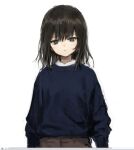  1girl bangs black_eyes black_hair blue_sweater brown_pants closed_mouth jitome long_sleeves medium_hair original pants shirt sho_(sho_lwlw) simple_background solo sweater upper_body white_background white_shirt 