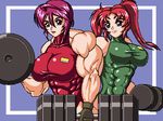  2_girls 2girls abs breasts dumbbell extreme_muscles female gundam gundam_seed lowres lunamaria_hawke meyrin_hawke multiple_girls muscle muscles muscular ren_(tainca2000) weight_lifting weightlifting weights working_out workout 
