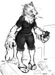 2018 3_toes anthro apologizing big_hands canid canine canis car clothing feet female fluffy footwear hi_res macro mammal nervous nervous_sweat phone sandals toes unknown_artist vehicle wolf 