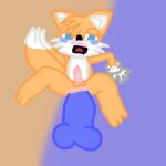  2tailed_fox anal animal_genitalia animal_penis canid canine duo eulipotyphlan feet first_person_view fox genitals hedgehog hi_res male male/male mammal miles_prower penis sega sonic_the_hedgehog_(series) stretching 