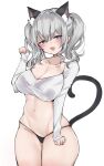  1girl alternate_costume animal_ears black_panties blouse blue_eyes breasts cat_ears cat_tail chigasaki_yukari cleavage commentary_request cowboy_shot grey_hair highres kantai_collection kashima_(kancolle) large_breasts long_hair long_sleeves looking_at_viewer no_pants panties shirt sidelocks solo standing tail twintails underwear wavy_hair white_shirt 