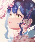  1girl absurdres akarionaka amamiya_kokoro arrow_hair_ornament bangs blue_hair blunt_bangs blurry blurry_foreground branch cherry_blossoms close-up commentary eye_reflection fang flower from_side hair_ornament heart heart_hair_ornament highres looking_at_flowers looking_up nijisanji open_mouth pink_flower ponytail portrait reflection sidelocks simple_background skin_fang solo virtual_youtuber white_background yellow_eyes 