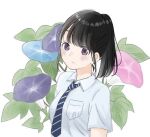  1girl bangs black_hair blue_flower blue_necktie closed_mouth collared_shirt commentary flower leaf light_frown looking_at_viewer morning_glory necktie original pale_skin pink_flower plant pocket ponytail purple_eyes school_uniform shirt short_sleeves simple_background solo upper_body vertical-striped_necktie white_background white_shirt yuum1709 