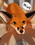  2022 ambiguous_gender black_nose canid canine digital_media_(artwork) feral flashw fox fur mammal orange_body orange_fur yellow_eyes 