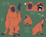  ape english_text expressions female feral haplorhine mammal model_sheet nude orangutan primate solo spoonfayse stated_homosexuality stated_sexuality text 