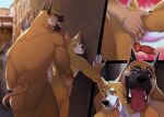  anal anal_penetration animal_genitalia animal_penis anthro anthro_on_anthro anthro_penetrated anthro_penetrating anthro_penetrating_anthro blue_eyes blurred_background brown_body brown_eyes brown_fur canid canine canine_penis canis domestic_dog duke_corgi duo erection fangs front_view fur genitals head_tuft herding_dog knot leaning leaning_forward looking_pleasured male male/male male_penetrated male_penetrating male_penetrating_male mammal multicolored_body multicolored_fur ninetht nude open_mouth open_smile orange_tongue outside_sex pastoral_dog penetration penile penile_penetration penis penis_in_ass portrait red_penis red_tongue sex side_view simple_background smile species_request standing tan_body tan_fur three-quarter_portrait tongue tongue_out tuft unsigned vein veiny_penis welsh_corgi white_body white_fur yellow_body yellow_fur 