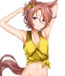  1girl animal_ears armpits arms_behind_head arms_up ayame_iro_(toumei_dolce) bare_arms bare_shoulders blue_eyes brown_hair closed_mouth collarbone commentary_request crop_top highres horse_ears horse_girl horse_tail looking_at_viewer looking_to_the_side midriff narita_taishin_(umamusume) navel shirt short_hair simple_background sleeveless sleeveless_shirt solo stomach tail tank_top tied_shirt umamusume upper_body white_background yellow_shirt 