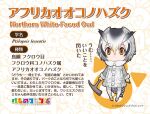  1girl animal_ears bird_ears bird_girl bird_tail bird_wings cane coat gloves grey_hair kemono_friends looking_at_viewer northern_white-faced_owl_(kemono_friends) official_art orange_eyes pantyhose shoes short_hair simple_background solo tail wings yoshizaki_mine 
