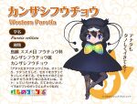  1girl animal_ears bird_ears bird_girl bird_tail bird_wings black_hair blue_eyes bow bowtie cape closed_mouth extra_ears hat kemono_friends looking_at_viewer official_art pantyhose shoes short_hair shorts simple_background solo tail western_parotia_(kemono_friends) wings yoshizaki_mine 