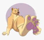  54321awesome accessory anklet anthro bracelet feet felid female hi_res hyper jewelry lion mammal pantherine paws soles toe_rings ych 