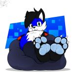  3_toes anthro bean_bag black_hair blue_body blue_fur canid canine clothed clothing electricsnowfox feet foot_focus fox fur hair hi_res looking_at_viewer male mammal pawpads paws sitting solo toes white_body white_fur 