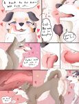  &lt;3 absurd_res alaskan_malamute anal animal_genitalia animal_pussy anus anus_blush ass_up australian_shepherd blue_eyes blush blush_lines blushing_profusely bodily_fluids body_blush breasts butt butt_fluff canid canine canis comic deep_rimming dialogue domestic_dog duo english_text female feral flirting flirting_look floppy_ears fluffy fluffy_tail genitals herding_dog hi_res husky internal internal_rimming looking_back looking_pleasured male male/female mammal multi_breast neck_tuft nordic_sled_dog oral parooty pastoral_dog pink_background profanity purple_eyes pussy pussy_blush rimming saliva saliva_on_anus saliva_on_tongue saliva_string sex sheepdog simple_background spitz teeth text thought_bubble thoughts tongue tongue_fucking tongue_out tuft 