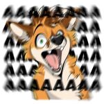  aaaaaaaaaaa black_nose brown_ears canid canine fox fur green_eyes mammal multicolored_body multicolored_fur orange_body orange_fur pink_tongue screaming simple_background solo tan_body tan_fur teeth_showing tongue two_tone_body two_tone_fur 