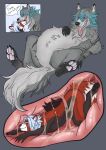  abdominal_bulge absurd_res belly canid canine canis duo hi_res liquids male male/male mammal oral_vore skrymer1 vore wolf xray_view 