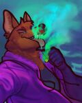  anthro canid canine cheek_tuft clothing diadorin drugs facial_tuft fangs fox fur green_background half-closed_eyes hoodie male mammal marijuana marijuana_blunt narrowed_eyes neck_tuft open_mouth open_smile orange_body orange_fur purple_body purple_fur pyrocynical simple_background smile smoke smoking smoking_weed solo tongue tongue_out topwear tuft 