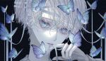  1boy aqua_eyes bishounen blue_butterfly blue_eyes bug butterfly green_eyes heterochromia highres looking_at_viewer male_focus mouth_hold original ribbon ribbon_in_mouth sasame_20 shiny shiny_skin short_hair slit_pupils solo 