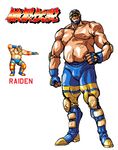  fat fat_man fatal_fury game garou_densetsu king_of_fighters mask muscle neo_geo raiden raiden_(fatal_fury) snk wrestling 