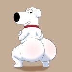  anthro big_butt brian_griffin butt canid canine canis collar crouching domestic_dog family_guy fur hi_res male mammal presenting presenting_hindquarters red_collar solo unknown_artist white_body white_fur 