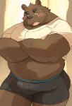  2022 anthro ayame42612 bear belly blush brown_body brown_nose bulge clothing hi_res kemono male mammal musclegut overweight overweight_male shirt solo topwear underwear 