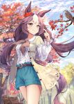  1girl absurdres animal animal_ears autumn autumn_leaves bird blue_shorts blue_sky brown_hair closed_mouth cloud day ear_scrunchie hamanashi_(trapiorra) highres horse_ears horse_girl horse_tail leaf long_hair looking_away low_twintails maple_leaf multicolored_hair outdoors red_scrunchie scrunchie shorts sky smile solo standing streaked_hair tail thighs twintails umamusume white_hair yamanin_zephyr_(umamusume) 